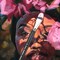 Artist Oil Paint - Zinc White, 40 ml, Non-Yellowing, Rich & Creamy Consistency, Maximum Pigment Load, Small Batch Milled Oil Paints Made in The USA for Professional Artists
